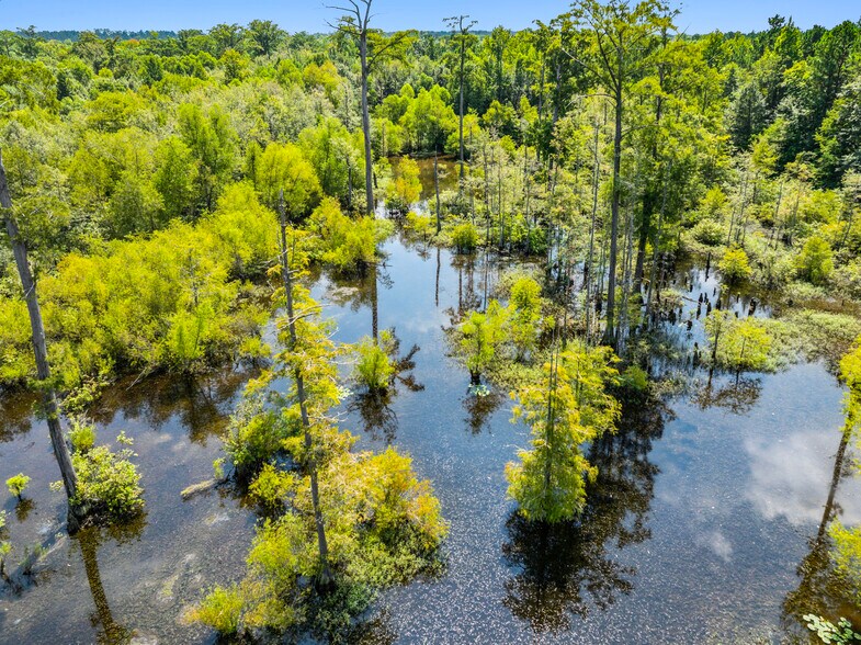 More Photos Of 7471 Highway 155, Saline Land For Sale