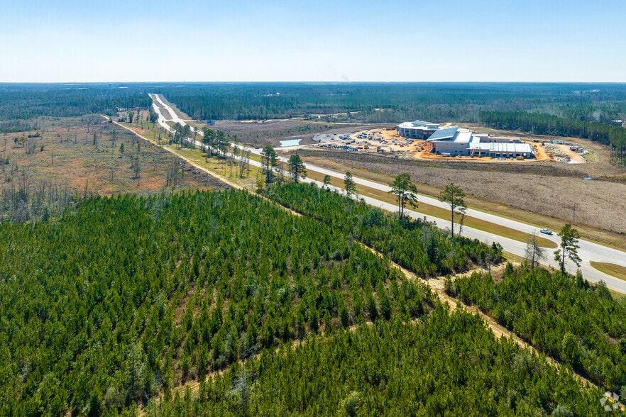 More Photos Of 0 U.S. HWY 59, Loxley Land For Sale