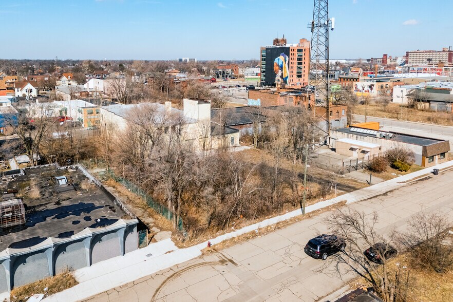 More Photos Of 289 Baltimore ave, Detroit Land For Sale