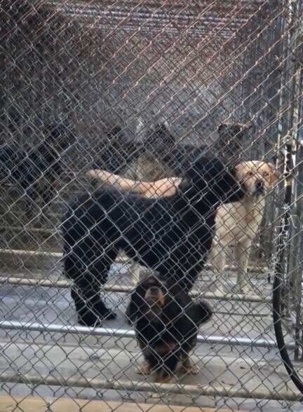 More Photos Of 22129 Carson Dr, Land O' Lakes Specialty For Sale