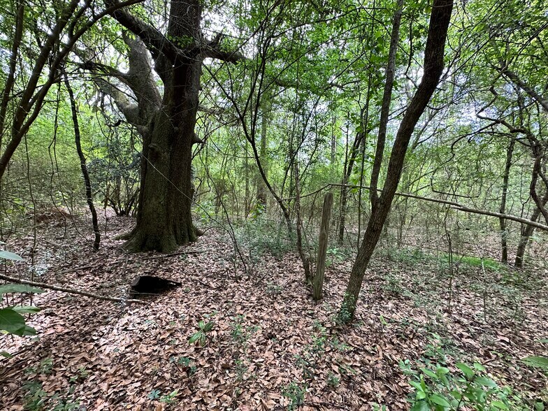 More Photos Of 0 Wilmer, Wilmer Land For Sale