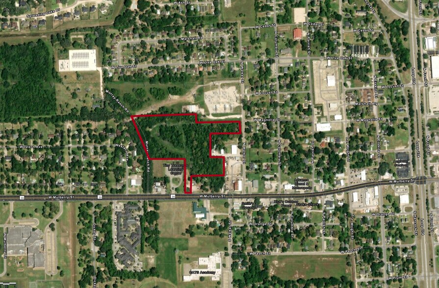 Primary Photo Of 0 Mulberry Street, Angleton Land For Sale