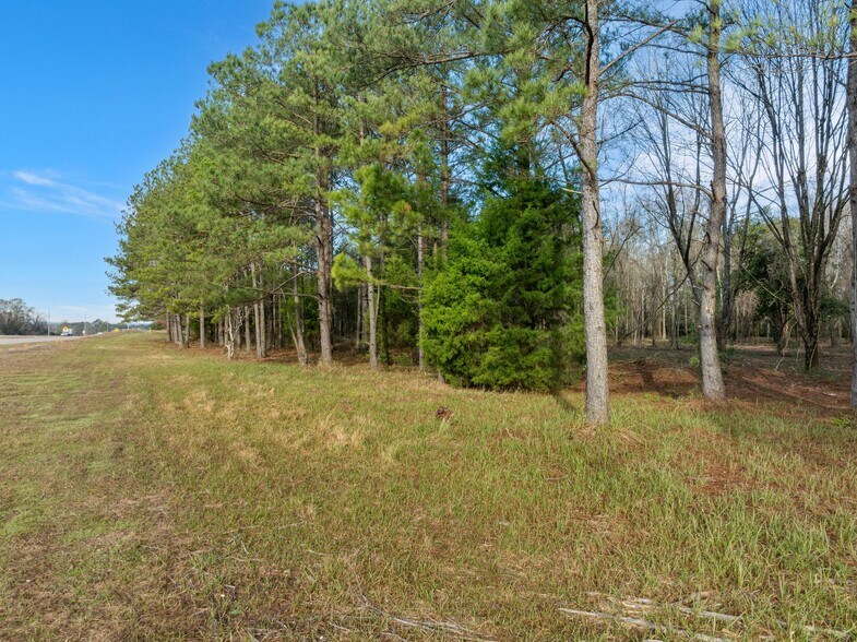 More Photos Of 1115 Evelyn Gandy Pky, Petal Land For Sale