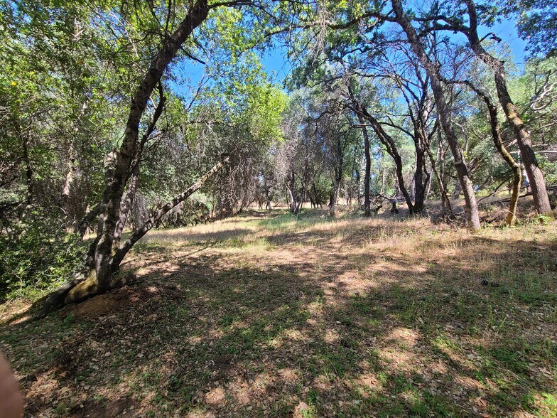More Photos Of 3691 China Garden, Placerville Land For Sale