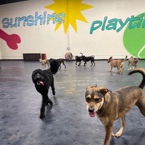 More Photos Of 21725 Clay Rd, Katy Veterinarian Kennel For Sale