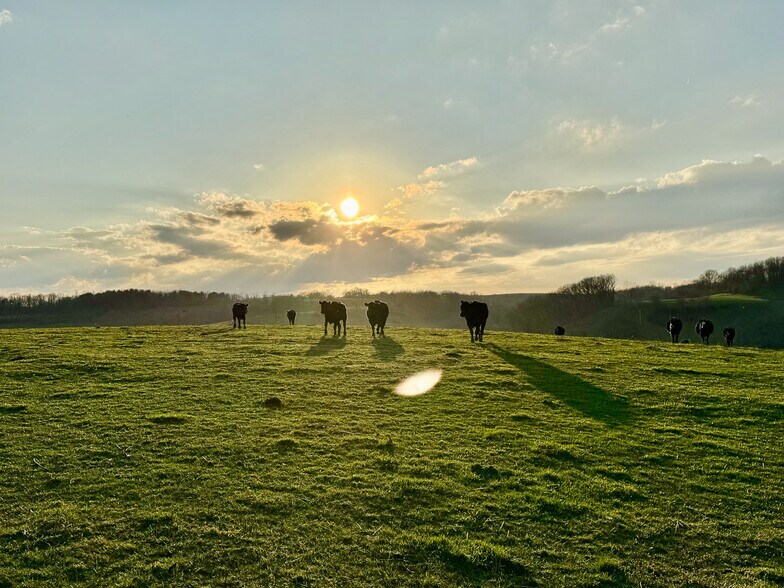 More Photos Of 68895 Lloydsville Bannock Rd, Belmont Land For Sale