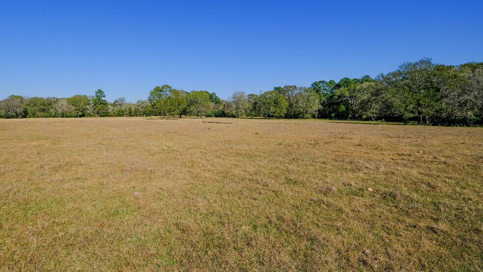 More Photos Of 26266 Fields Store Rd., Waller Land For Sale