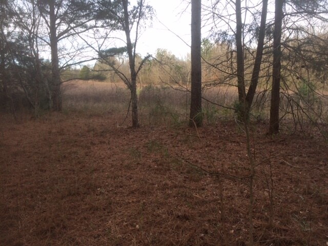 More Photos Of 5791 Atlanta Hwy, Rutledge Land For Sale