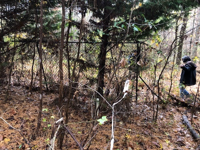 More Photos Of 241 Paper Mill Rd, Lawrenceville Land For Sale