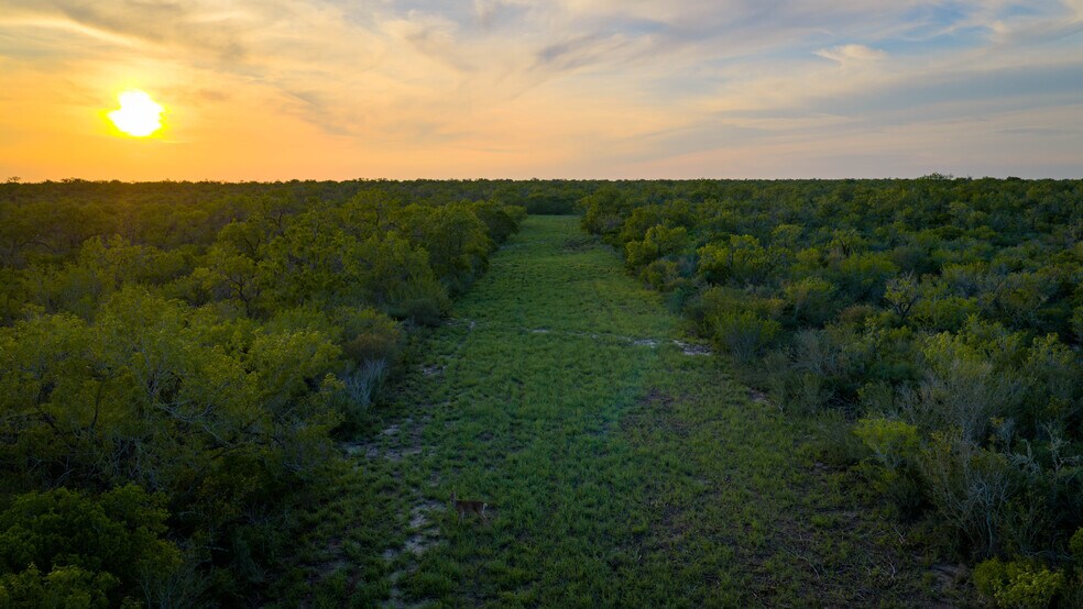 More Photos Of FM 791, Campbellton Land For Sale
