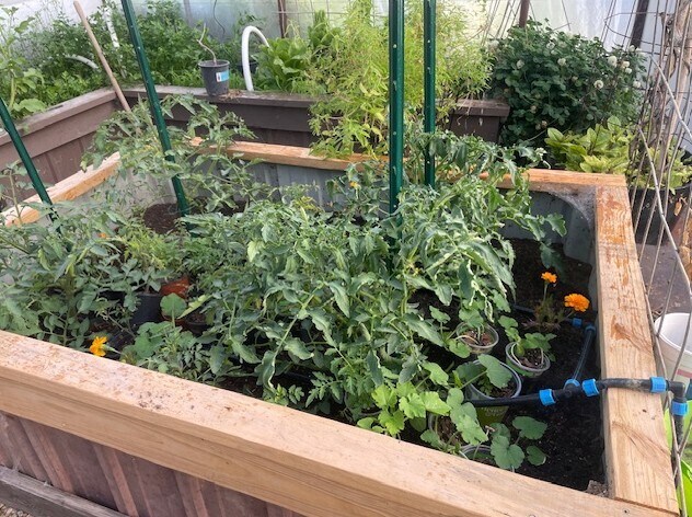 More Photos Of 800 E River Rd, Belen Auto Repair For Lease