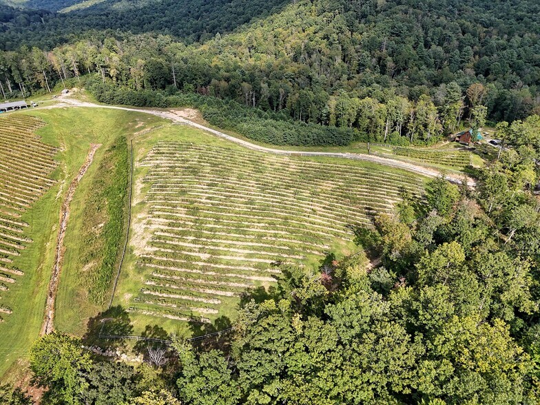 More Photos Of 781 Payne dr, Zirconia Land For Sale