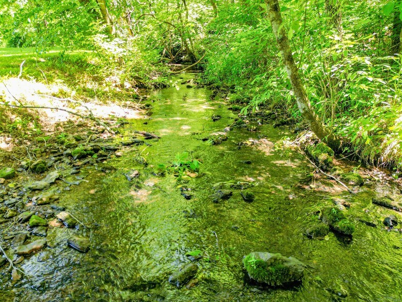 More Photos Of 804 Ball Hollow Branch Rd, Lynnville Land For Sale