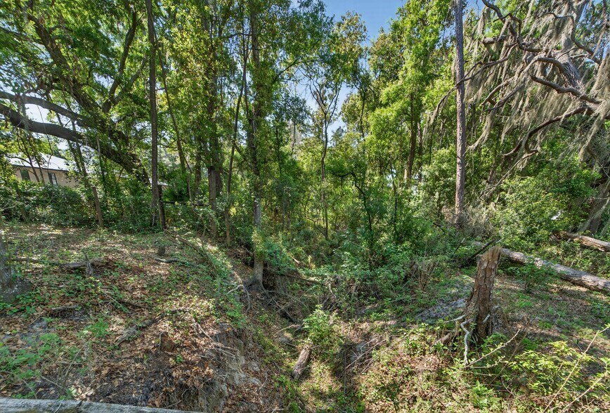 More Photos Of Carlton Rd, Plant City Land For Sale