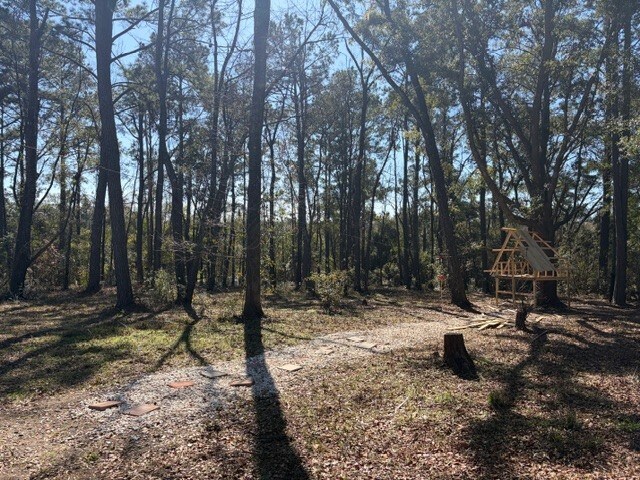 More Photos Of Louvinia Dr, Tallahassee Land For Sale