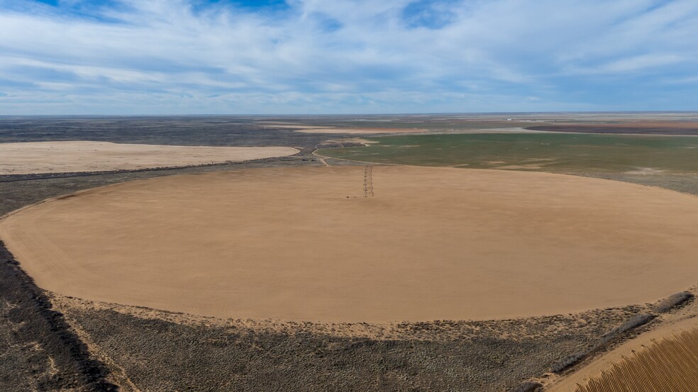 Primary Photo Of TBD CR 260, Morton Land For Sale