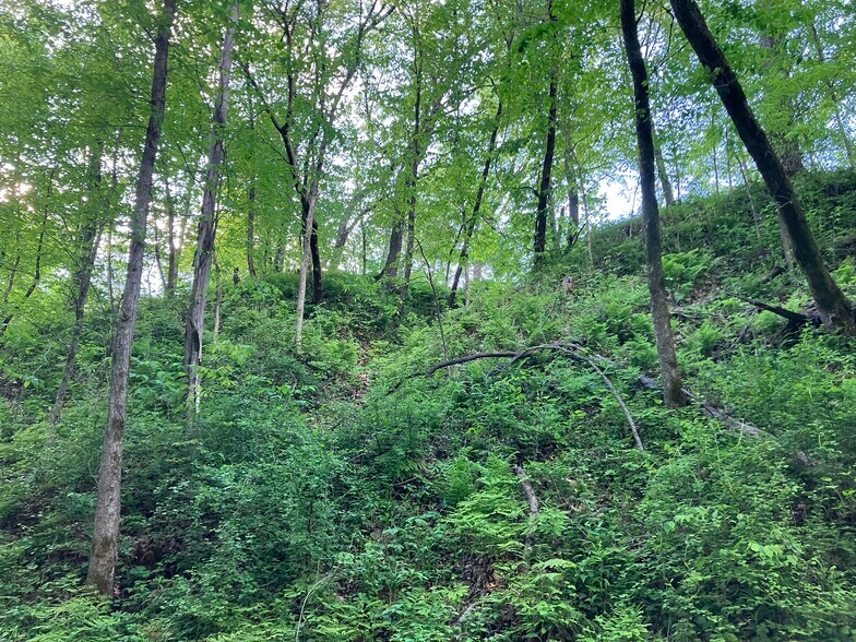 More Photos Of N3739 Bear Pen Rd, Arkansaw Land For Sale