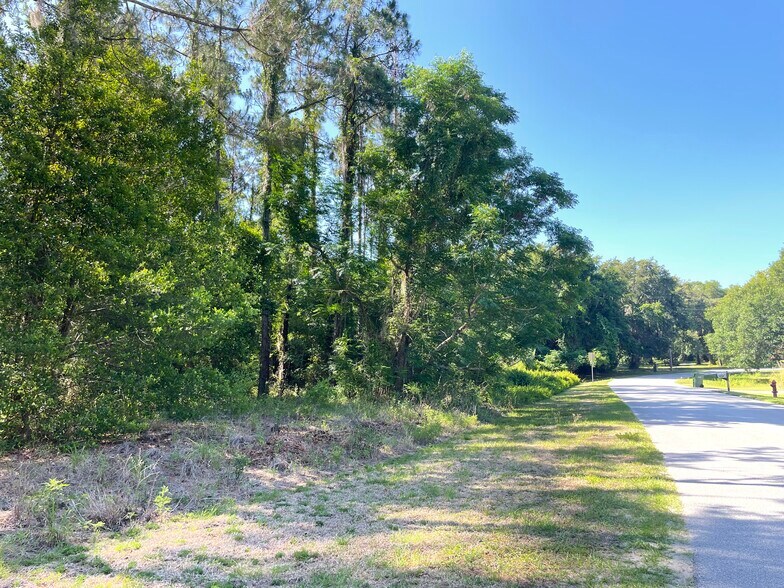 More Photos Of 31004 Secretariat Trl, Leesburg Land For Sale