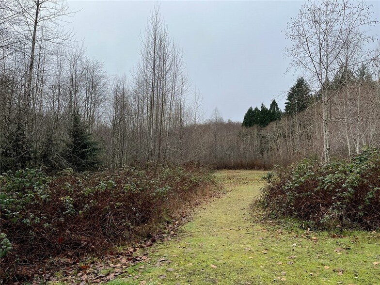 Primary Photo Of 0 Wheelwright, Allyn Land For Sale