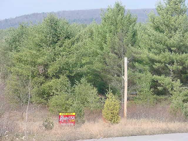 More Photos Of Route 8 & I-87, Chestertown Land For Sale
