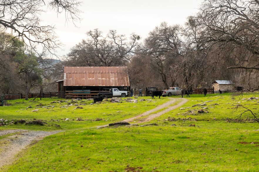 More Photos Of Skunk Gulch Rd, Vallecito Land For Sale