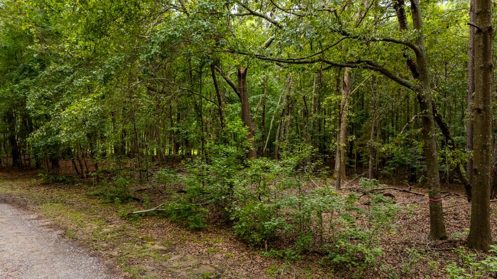 More Photos Of 227 Will Dent Rd., Lexington Land For Sale