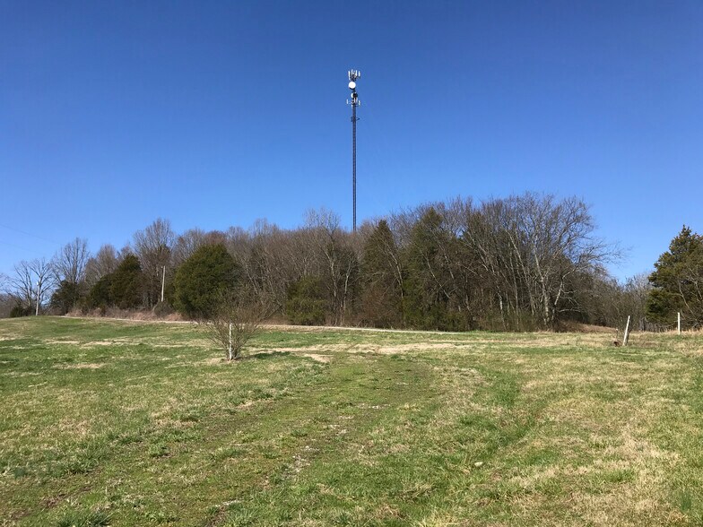 More Photos Of 172 Jake Branch Rd, Beechgrove Land For Sale