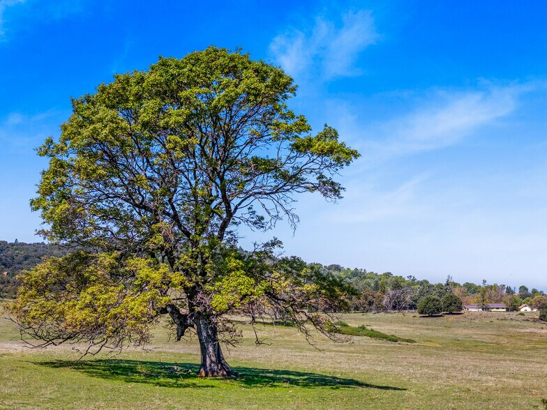 More Photos Of 3510 Deer Lake Park Road, Julian, CA 92036, USA -1, Julian Land For Sale