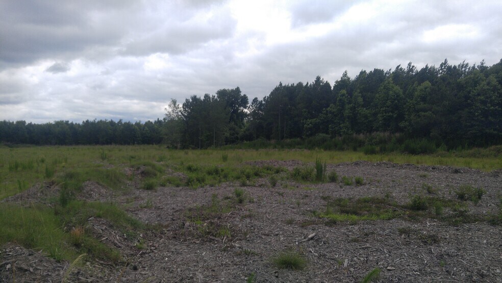 More Photos Of 801 S Old Augusta Rd, Rincon Land For Lease