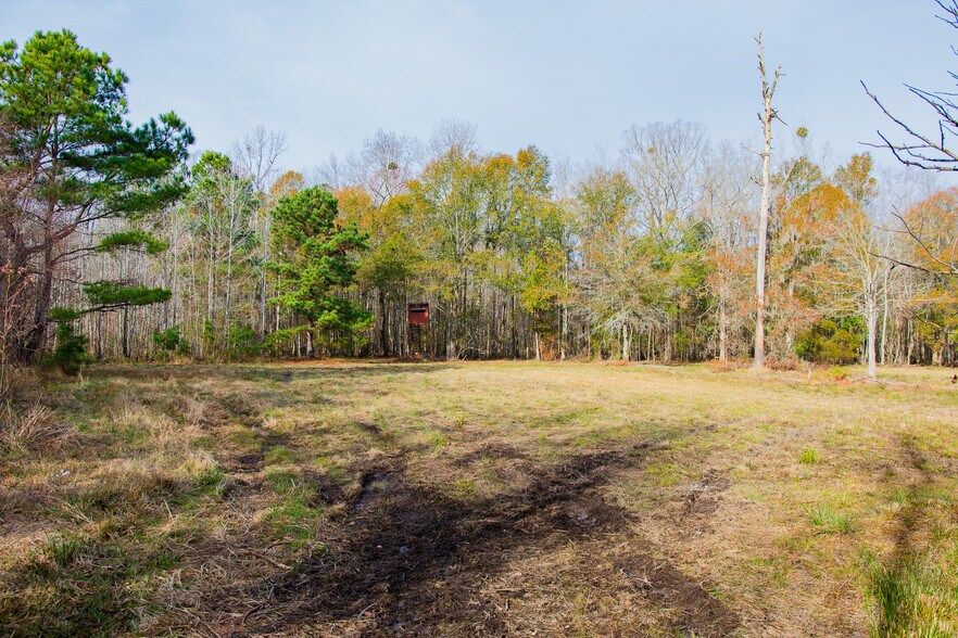 More Photos Of 409 Windward Ave, Orangeburg Land For Sale