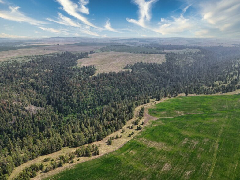 More Photos Of 45XXX Devore Rd, Davenport Land For Sale