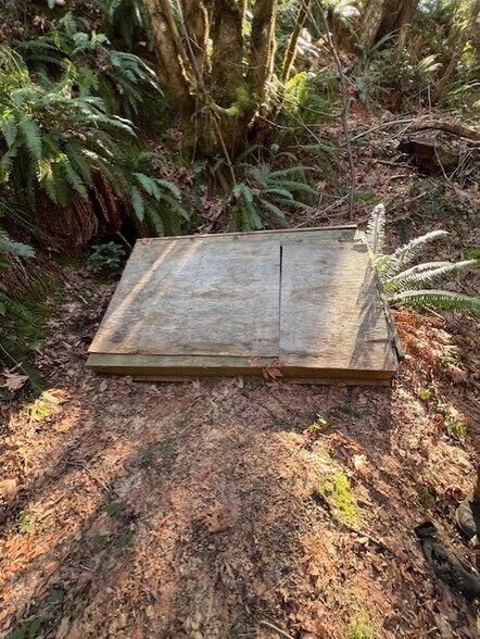 More Photos Of Highway 199, Crescent City Land For Sale