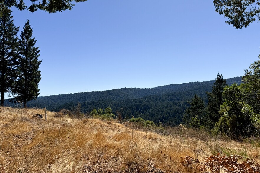 More Photos Of 1200 Roberts Rd, Ben Lomond Land For Sale