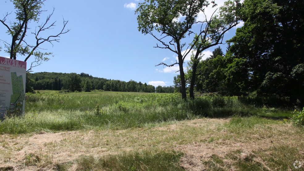 Primary Photo Of State Route 434 & Route 17, Owego Land For Lease