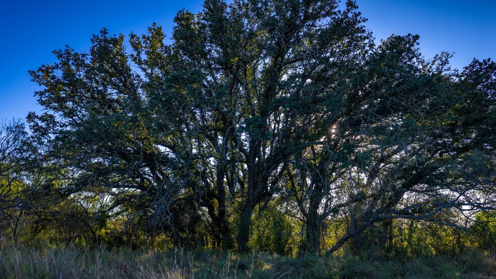 More Photos Of 7499 US 87 hwy, Mason Land For Sale