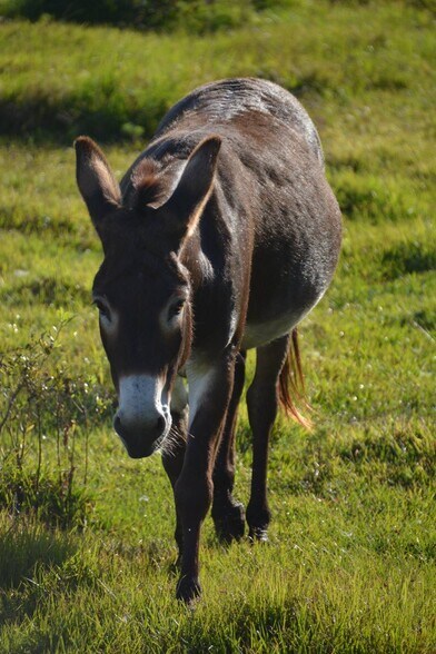 More Photos Of 3893 NW 50th Drive, Okeechobee Land For Sale