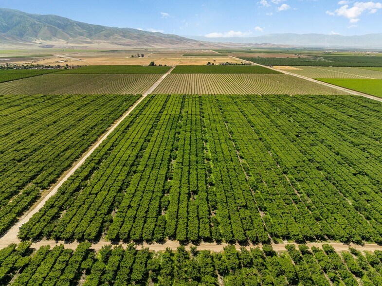 More Photos Of 0 Rock Pile Road, Arvin Land For Sale