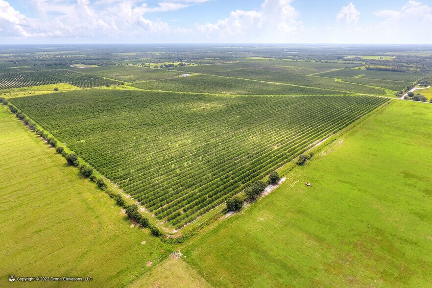 More Photos Of 5015 Fish Branch Rd, Zolfo Springs Land For Sale