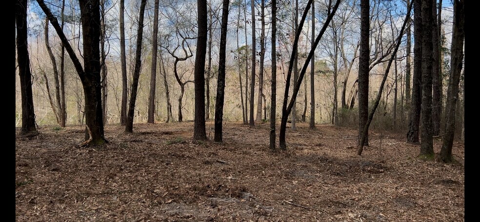 More Photos Of Victoria Blvd, Winnabow Land For Sale