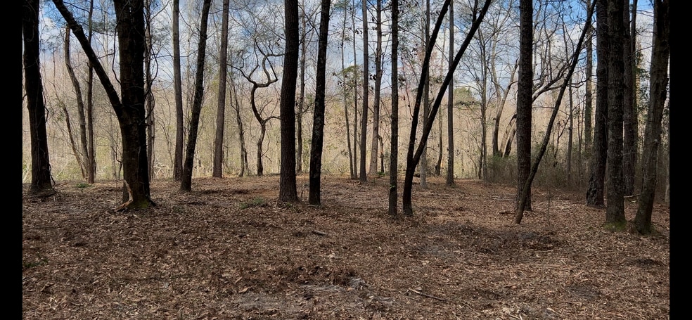 More Photos Of Victoria Blvd, Winnabow Land For Sale