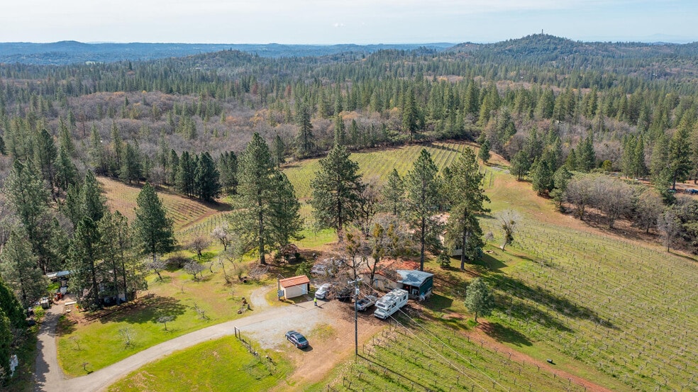 More Photos Of 4771 Greenhills Rd, Placerville Winery Vineyard For Sale