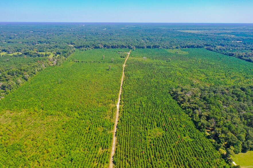 More Photos Of FM 1010 @ Loop 105, Cleveland Land For Sale