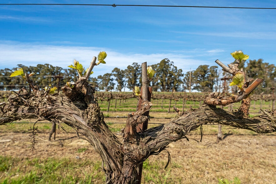 More Photos Of 16550 River Road, Isleton Land For Sale