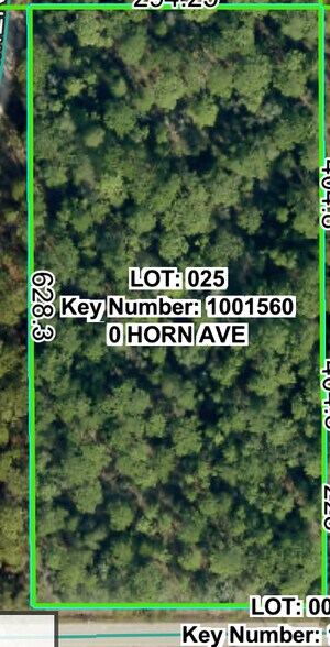 Primary Photo Of Horn Ave @ Summer St., Brooksville Land For Sale