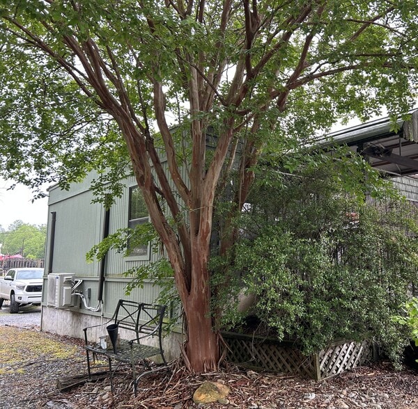 More Photos Of 134 Depot St, Bryson City Office For Lease