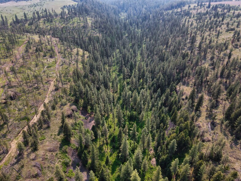 More Photos Of 45XXX Devore Rd, Davenport Land For Sale