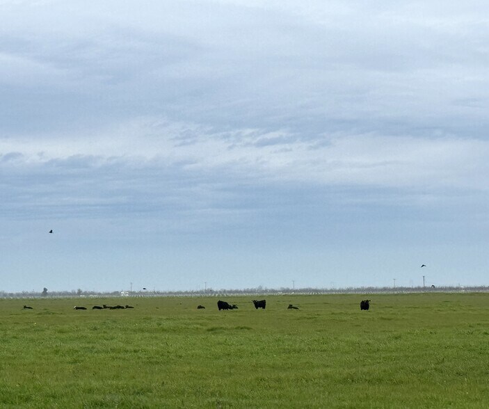 More Photos Of Maxwell Ln, Dixon Land For Sale