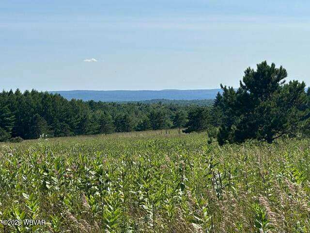 More Photos Of Beech Creek Mountain Rd, Beech Creek Land For Sale