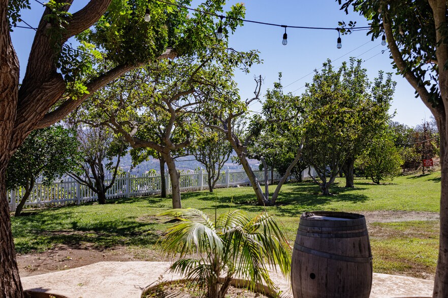 More Photos Of 2286 Sunshine Mountain Rd, San Marcos Winery Vineyard For Sale