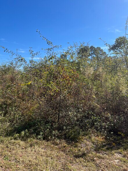 More Photos Of 0 Woodbridge Drive, Laurinburg Land For Sale